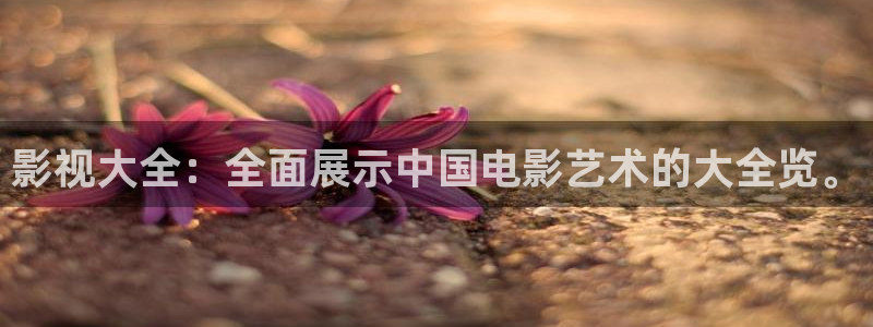 桔子影院在线观看电视剧最新更新时：影视大全：全面展示中国电影艺术的大全览。