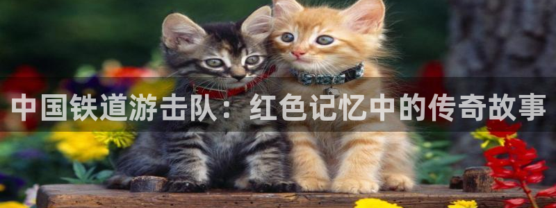 桔子 影院：中国铁道游击队：红色记忆中的传奇故事